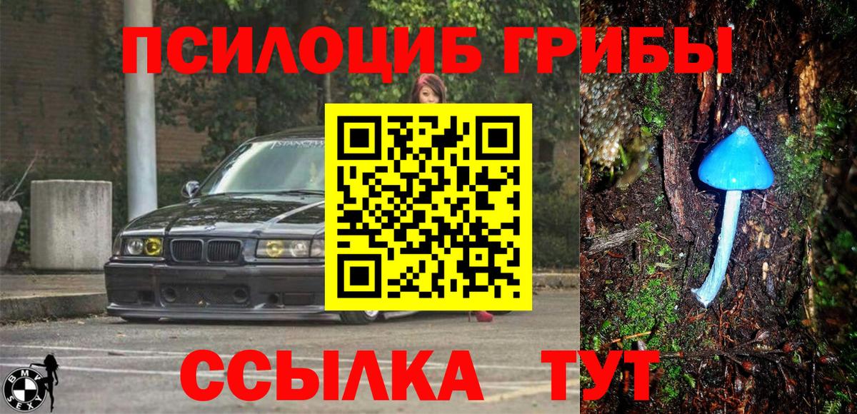 Галлюциногенные грибы Cubensis  Вход с VPN  Северск 
